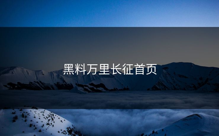黑料万里长征首页