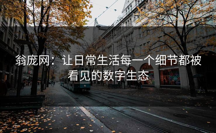 翁庞网：让日常生活每一个细节都被看见的数字生态